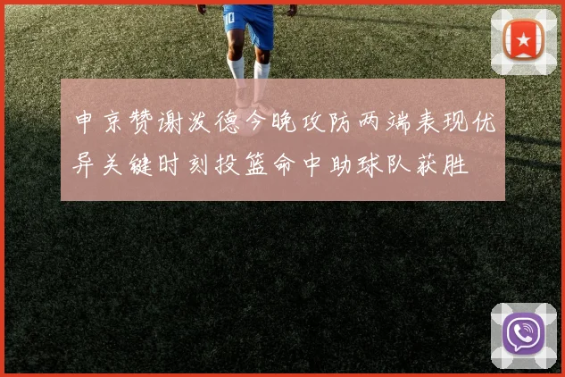 申京赞谢泼德今晚攻防两端表现优异关键时刻投篮命中助球队获胜