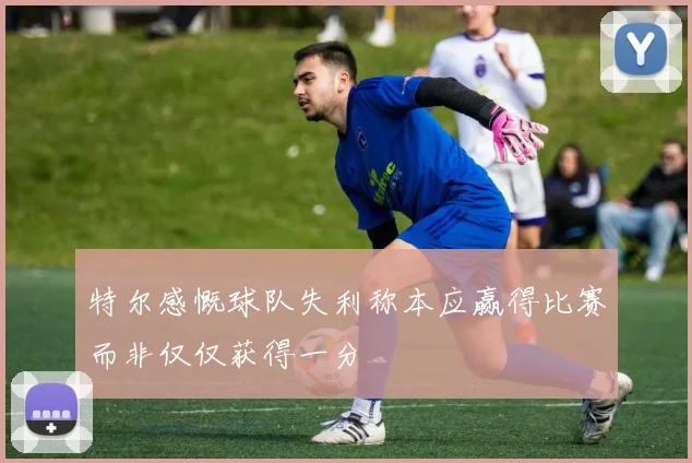 特尔感慨球队失利称本应赢得比赛而非仅仅获得一分