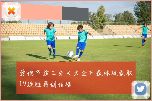 爱德华兹三分火力全开森林狼豪取19连胜再创佳绩