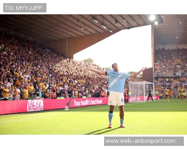 希勒评选本赛季英超最佳阵容阿森纳曼城切尔西桑德兰各有代表